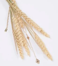 Collier Chapelet Merveilleuse Ajourée